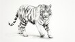  a pencil drawing of a tiger walking on a white background.  generative ai