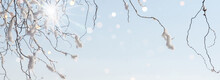 View Through Snowy Tree Branches Against Sun And Blue Sky With Defocused Lights, Winter Background Banner With Copy Space For Travel, Vacation And Holidays