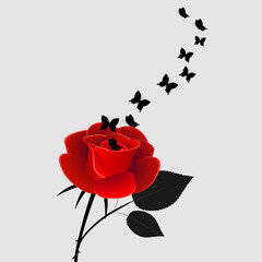Wall Mural - Red rose with black butterflies on a gray background.