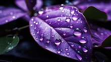  A Close Up Of A Purple Leaf With Water Droplets On It.  Generative Ai