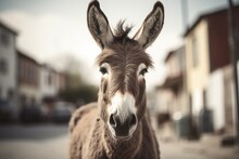 Hipster Donkey Walking Around The City On The Street.
