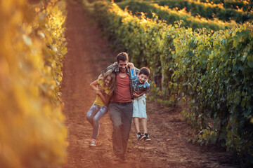 Young family walking through a vineyard on a sunny day