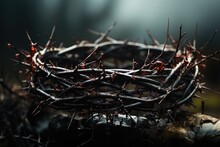 Crown Of Thorns Of Jesus
