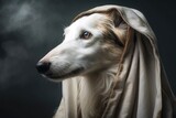 Fototapeta Konie - A dog wearing a blanket on its head. This picture can be used to depict humor or innocence