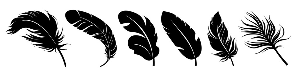 Wall Mural - feather black icon. feather icons set. various feathers.