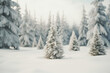 © jfStock - Winter snow christmas trees