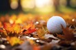 © id512 - golf ball on autumn leaves close up shot