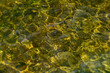 Steine und Felsen unter Wasser mit Algen oder Moos bedeckt. Natürlich reflektiertes Sonnenlicht.