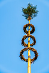 Wall Mural - typical bavarian maypole in front of blue sky