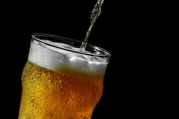 Wall Mural - Freeze motion of pouring beer into glass on black background