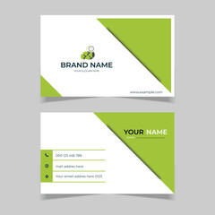 Wall Mural - elegant business card design template green and white color