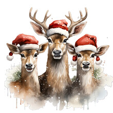 Three Christmas Deer Wearing Santa Hat Watercolor Png