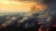 Forest fires in Borneo have been a recurring environmental crisis, often exacerbated by deforestation and dry weather conditions, leading to widespread ecological 