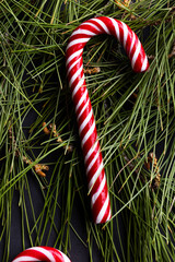 Poster - Vertical image of christmas candy cane and christmas tree decorations with copy space