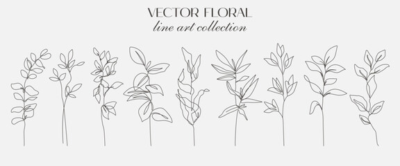 Wall Mural - Continuous Line Drawing Set Of Plants Black Sketch of Flowers Isolated on White Background. Flowers One Line Illustration. Minimalist Prints Set. Vector EPS 10. 