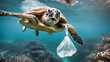Hawaiian Green Sea Turtle (Chelonia mydas) with plastic bag in ocean.