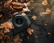 Autumn Leaves. Photography. Flat Lay photography.Dslr camera lying flat  with dry leaves, pine cones and twigs on a wet black background. Focus in the centre. Stock image. 