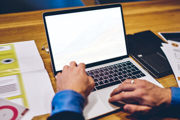 Wall Mural - Male manager sitting at table and using laptop