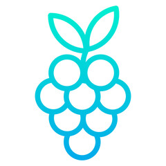 Outline Gradient Grapes icon