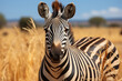 Zebra in african savannah. Created with Generative AI
