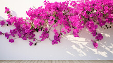 Blooming Red Bougainvillea Flowers In Santorini Island Island, Greece, Floral, Nature, Vibrant, Picturesque, Mediterranean, Summer, Travel, 