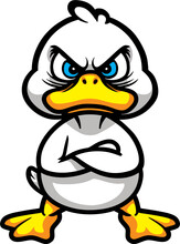 Angry Cartoon White Duckling, Vector Drawing