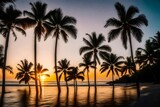 Fototapeta  - palm trees at sunset