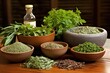 set of fresh herbs traditionally used for therapies