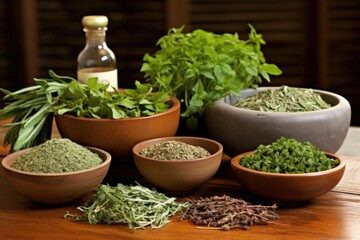 Canvas Print - set of fresh herbs traditionally used for therapies