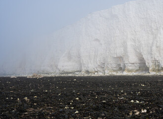 Wall Mural - Misty morning in Hope Gap beach, Cuckmere Haven, located between Seaford and Eastbourne. Pebbly coastline with seaweed and the white cliffs on the background, selective focus