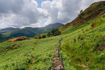 Poster - Dry stone wall winds its way across a steep hillside near Beddgelert in Wales.