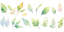 Set Of Watercolor Green Leaves With Gold Lines Elements. Clipart Botanical Collection.