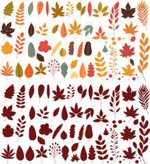 Wall Mural - collection of autumn leaves, isolated vector