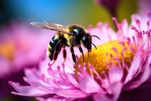 A Bumblebee Carrying Pollen To A Blooming Flower