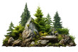 Cutout rock or stone surrounded by fir trees isolated on a transparent background , Decoration garden design