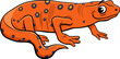 newt salamander animal character cartoon illustration