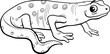 cartoon newt amphibian animal character coloring page