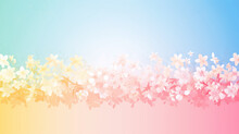 Pastel Flowery Background With White Flowers On Blue And Yellow, Cherry Blossom Spring And Summer Gradient