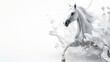 White horse with splashes of milk on white background