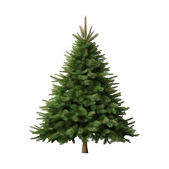 undecorated christmas tree isolated in transparent white background