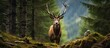© 2rogan - Elusive red deer stag in Carpathian mountains hard to capture on camera With copyspace for text
