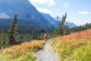 Wall Mural - Hike in Glacier Park