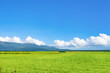 © あんみつ姫 - 夏の北海道美瑛・富良野　牧場の牧草地