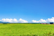© あんみつ姫 - 夏の北海道美瑛・富良野　牧場の牧草地