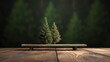 Two little green fir trees on wooden table top. Copy space