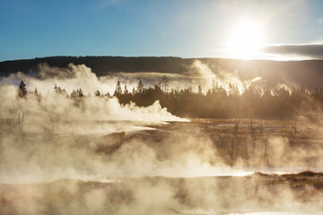 Wall Mural - Yellowstone