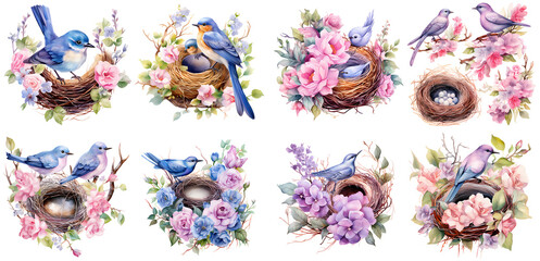 Wall Mural - Floral Bird Nest Watercolor Illustration clipart. Generative AI