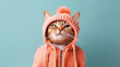 © DesiArt - Cat dressed in winter clothes portrait on isolated background - ai generative