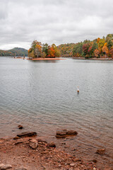 Wall Mural - fall