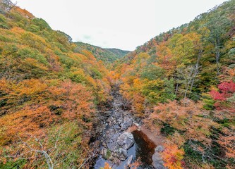 waterfalls of western north carolina